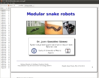 2011-03-08:Saudi Arabia: Modular Snake Robots