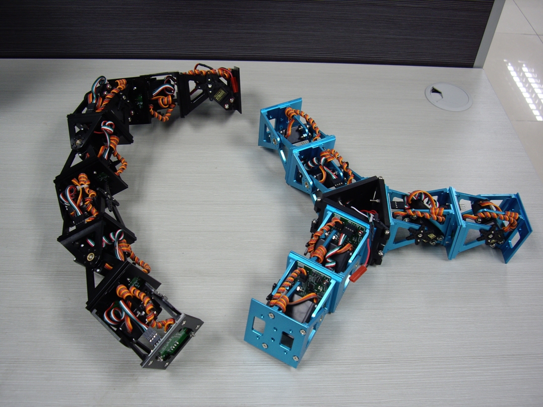 1D and 2D topology modular robots